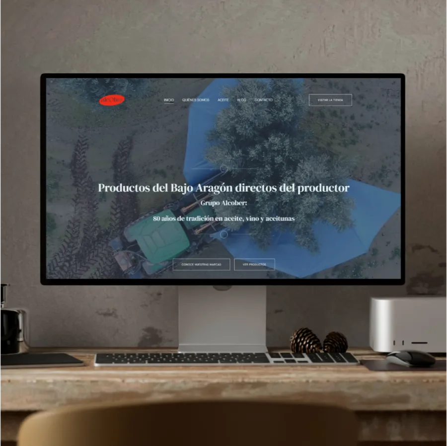 Proyecto de Alcanalytics: Grupo Alcober